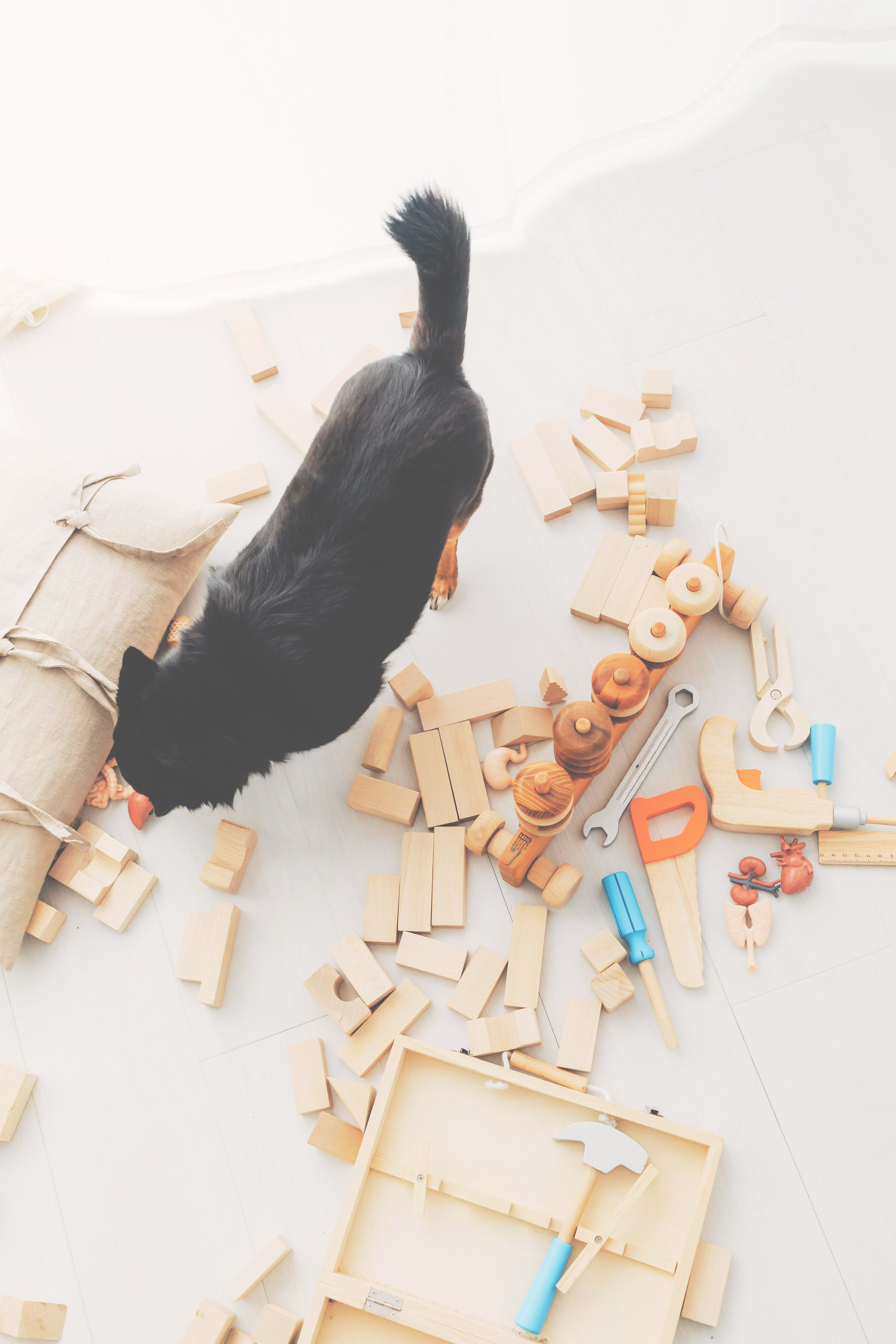 Clean up toys with 12 simple steps